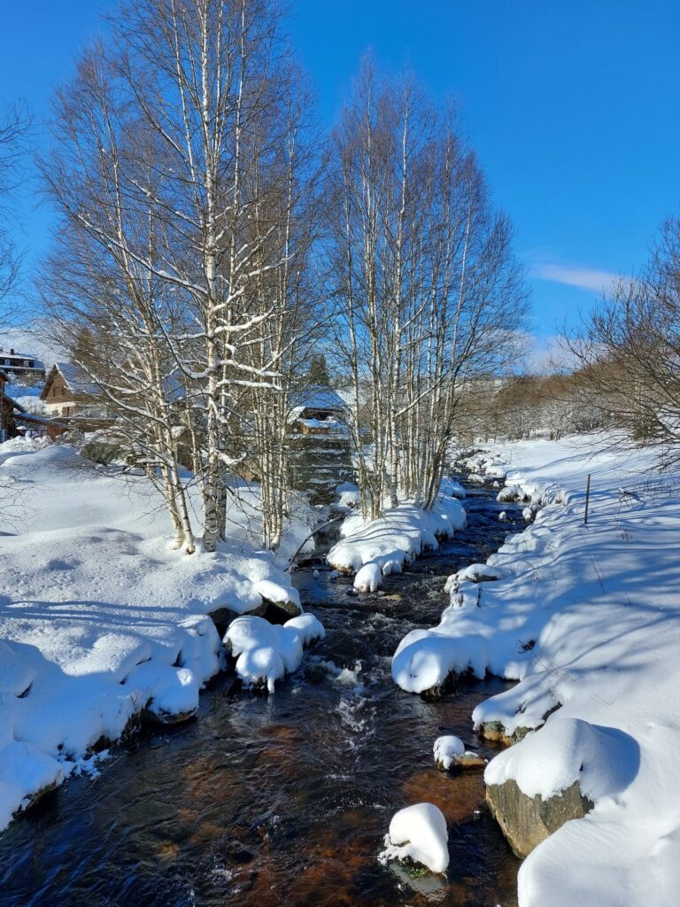 Co se děje na Šumavě